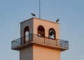 Las cigüeñas hacen parada en San Isidro de Benagéber en plena migración de agosto