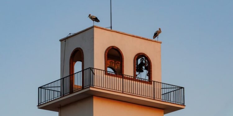 Las cigüeñas hacen parada en San Isidro de Benagéber en plena migración de agosto