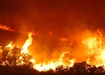 Incendio forestal en la Calderona: Moncada envía un equipo de apoyo a Gátova