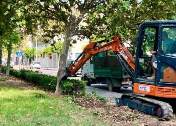 Moncada inicia la renovación de todos los setos del Parque de la Mediterránea