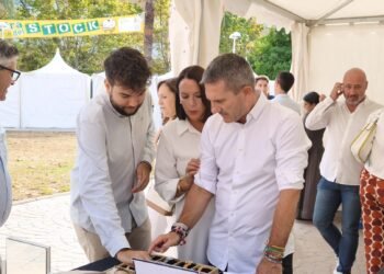 La Feria del Stock busca recuperar el pulso comercial tras el golpe del temporal
