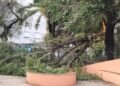 Última Hora: Moncada amanece tras una tromba de agua que deja más de 100 litros