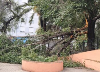 Última Hora: Moncada amanece tras una tromba de agua que deja más de 100 litros
