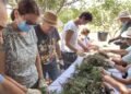 Moncada recupera un secret de tota la vida: així es fan els saquets que perfumen els armaris