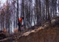 La Generalitat destina 685.000 euros en la zona afectada por el incendio de la Calderona