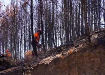 La Generalitat destina 685.000 euros en la zona afectada por el incendio de la Calderona