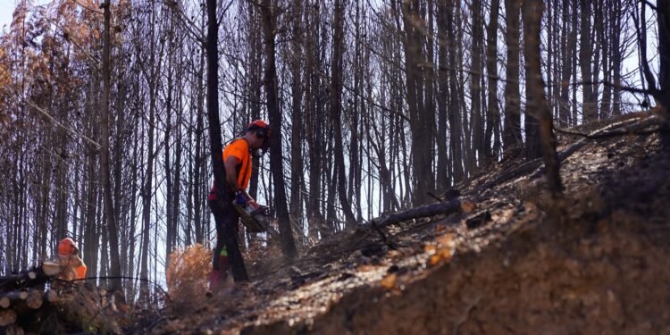 La Generalitat destina 685.000 euros en la zona afectada por el incendio de la Calderona