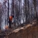 La Generalitat destina 685.000 euros en la zona afectada por el incendio de la Calderona
