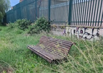 Los vecinos denuncian el abandono del Passeig de Tramuntana en Masías