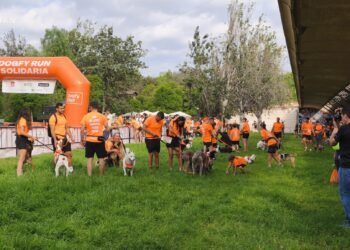 C.C. Tos Pelat muestra su lado más solidario en la DogFy Run de Valencia