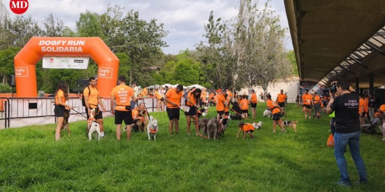 C.C. Tos Pelat muestra su lado más solidario en la DogFy Run de Valencia